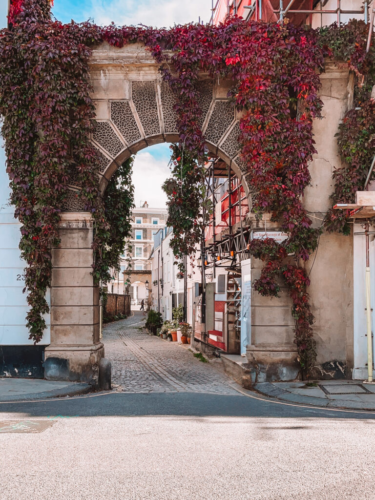 kynance mews london fall autumn